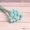 [Vila Zanhua] Yongsheng Flor Bola Dourada Flor Seca Yunnan Buquê Fruta Seca Planta Multicolorida Flor Seca Real Atacado