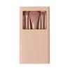 Nuevo Modelo Caja de Espejo para Techo Solar Set de 5 Brochas de Maquillaje Portátil Brocha para Sombras de Ojos de Cerdas Ultra Suaves Brocha para Rubor Mini Set de Brochas Venta al por Mayor