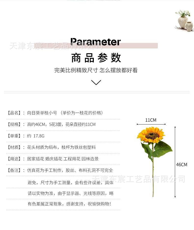 详情_02.jpg