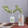 Baoshi Nieve de junio maceta hidropónica bonsái forma de acantilado oficina interior mesa fácil de cuidar plantas de follaje mesa de centro agua