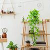 Rábano Verde Colgante de Pared Hoja de Uva Ratán Colgante de Pared Boda Techo Decoración de Interiores Enredadera Verde Plástico Hoja Verde Artificial Colgante de Pared
