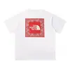 Camiseta Original Nt North Face de 260g para Hombre, Camisa Casual Versátil de Manga Corta con Estampado de Moda para Pareja