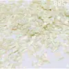 Laca nacarada, finas peças de madrepérola, arte para unhas, pintura em laca, peças de madrepérola, materiais DIY, laca incrustada, papel nacarado