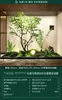 Escenario de Exhibición de Ventana Pieris Japonica Simulada Planta Interior de Gama Alta Arce Japonés Biomorfo Planta Verde Decoración Árbol Artificial Grande Paisaje