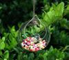 Jarrón de vidrio colgante rosa verde planta hidropónica botella de vidrio botella colgante decoraciones de vidrio hechas a mano creativas colgante de pared pecera