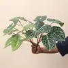 Hojas de Begonia artificiales, Hojas de Monstera, Filodendro colgante, plantas verdes decorativas para paisajismo, escenografía para sala de transmisión en vivo, hojas verdes de bonsái, decoración del hogar