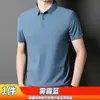 Camisa Polo de Verano para Hombre, Transpirable Versátil de Negocios, Delgada Ajustada a la Medida, Moda de Gama Alta Casual, Top con Cuello