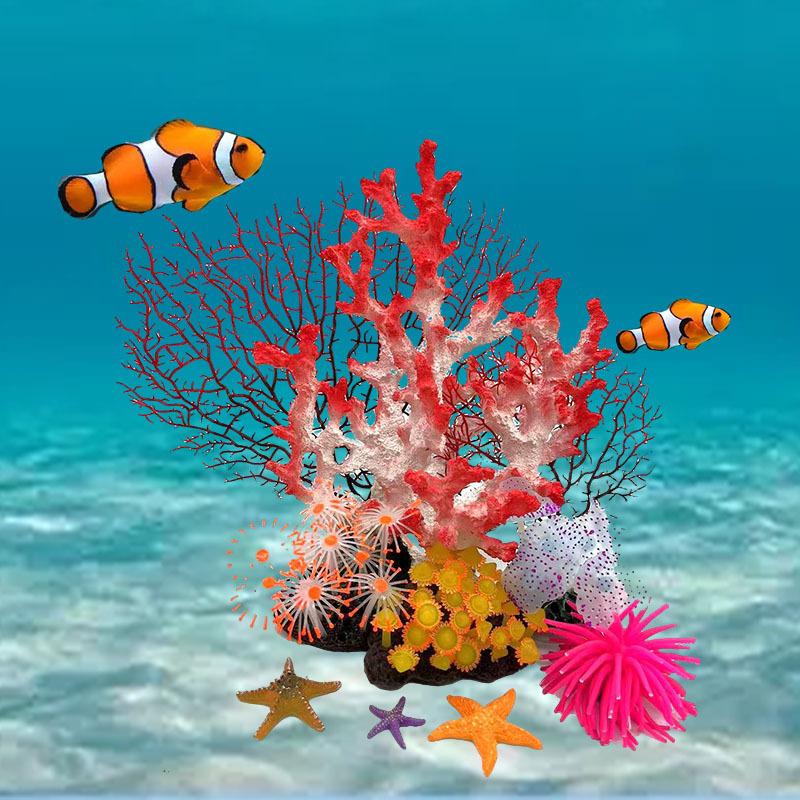组合珊瑚.jpg