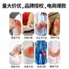Crema Pomada Yao Benren Embotellada Huatuo Miaotugou para Cuello, Cintura, Hombro, Siete Venenos, Nueve Venenos, Compresa Caliente de Hueso de Serpiente para Uso Externo