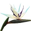 Pájaro del Paraíso de Goma Suave Flor Artificial Individual Grande de Madera de Arándano Flor Falsa de Plástico Adornos de Decoración para el Hogar Chino Fotografía de Bodas