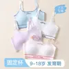 Ropa interior para el desarrollo de niñas, Estudiantes de secundaria, Sujetadores deportivos para estudiantes de preparatoria, Camisetas sin costuras para adolescentes