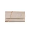 Comercio Electrónico Transfronterizo Dropshipping Fábrica Bolso de Mano para la Noche Maquillaje Bolso de Mujer Costura Versión Ligera Brillante Un Solo Hombro Cruzado Bolso de Maquillaje para la Noche