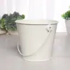 Juguetes de Playa para Niños Mini Cubo Pequeño de Hierro Suculentas Plantas Verdes Maceta Cubo de Hierro Hojalata Cubo de Almacenamiento de Escritorio