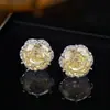 Brincos de Corte Milênio Rosa Transfronteiriços Europeus e Americanos para Mulheres, Brincos de Diamante de Alto Carbono da Moda, Venda Quente em Transmissão Ao Vivo, Atacado de Comércio Exterior