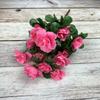 Flores Pequeñas de Rododendro, Flores Artificiales de Azalea, Flores para Decoración del Hogar, Flores de Seda, Flores Falsas, Venta al por Mayor desde el Fabricante, Estilo Ins