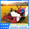 Cosechadora pequeña para arroz y trigo para uso doméstico, 35 caballos de fuerza, tipo oruga, cosechadora de forraje de alimentación completa para ganado vacuno y ovino