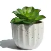 Simulación planta mini Baolian paisaje micro suculenta pequeña planta verde bonsái marco de fotos diy material floral simulación