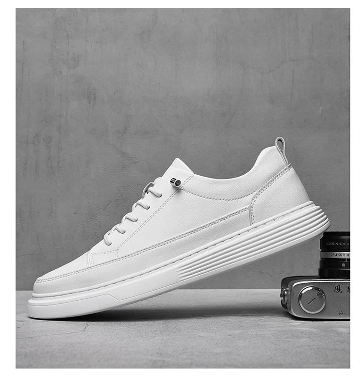 01-02-1_11.jpg?x-oss-process=image/format,png