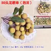 Simulación de Fruta Verdura Modelo de Fruta Falsa Juguete Accesorio para Fotografía Adorno de Exhibición Decoración de Manzana Simulada Adorno de Ayuda Didáctica