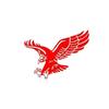 Adhesivo Reflectante de Águila para Coche Adhesivo para Camión Daquan Adhesivo para Puerta Adhesivo Personalizado para Coche Máscara para Puerta de Coche con Flor de Tracción para Cabeza de Coche
