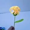 Buquê de Cravo Crochê de Lã Acabado Transfronteiriço Tecido à Mão Flor Artificial Presente de Feriado Dia das Mães para Meninas