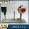Instrumento para olho Modelo de olho humano Curvatura da lente Estrutura de imagem ocular variável Instrumento de ensino laboratório