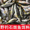 Isca de Pesca para Pesca Selvagem de Robalo, Incluindo Peixinhos, Robalo e Isca de Riacho