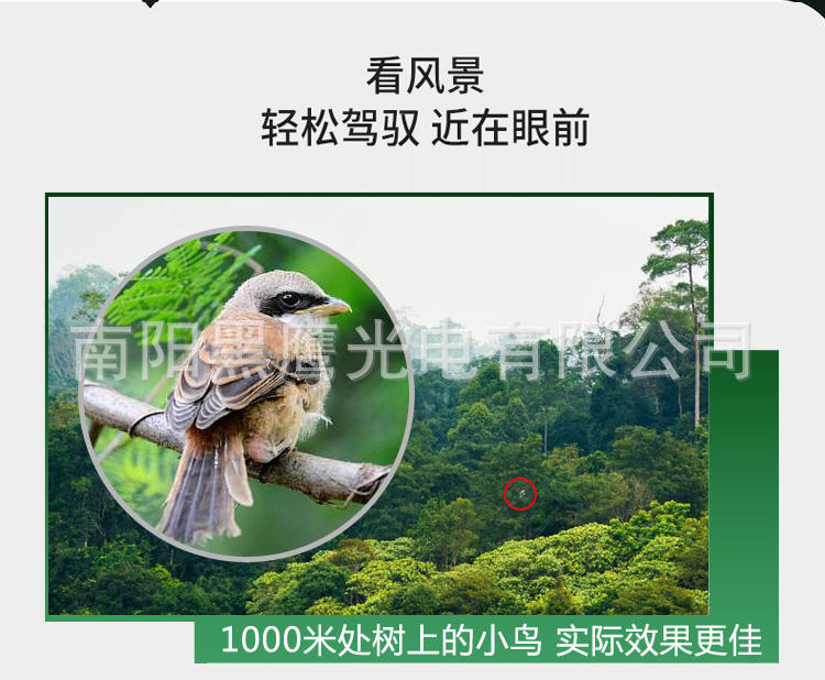 4号单详情 (13).jpg