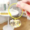Llavero Colgante de Pelo de Gato Acrílico Caja Transparente para Guardar Pelo de Gato Colgante Conmemorativo de Alto Valor para Mascotas Venta al por Mayor