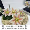 Flores de Magnolia Simuladas para Salones de Bodas, Flores de Magnolia Artificiales, Flores de Gerbera, Arreglos Florales para Bodas, Decoraciones Florales para Sala de Estar, Venta al por Mayor