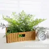 Materiales de Plantas Verdes Artificiales para Decoración y Paisajismo, Decoración Suave para Interiores, Material de Flor Individual, Planta Pequeña de Helecho, Manojo de Hierba, Verdeo de Micro Paisaje