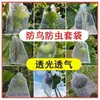 Sacos protetores de frutas para controle de pássaros, sacos de malha universais à prova de insetos para frutas e vegetais, sacos respiráveis para figos, nêsperas, uvas, pêssegos e morangos