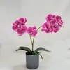 Planta Artificial Phalaenopsis de 8 Flores com Dois Ramos em Vaso para Decoração de Sala de Estar, Bonsai de Flor Artificial de Plástico para Pátio Externo Ornamento de Flor Artificial