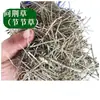 Cavalinha Erva Material Medicinal Grama Cavalinha Pó de Cavalinha Grama Articulada Grama de Consertar Ossos Grama de Conectar Grama Oca Grama Macho e Fêmea Grama Agarradora