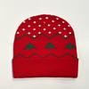 Chapéu de tricô com novo flange de Natal chapéu de tricô quente fornecimento direto da fábrica chapéu de tricô masculino e feminino mesmo chapéu de lã