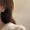 Brincos Exquisitos de Libélula Pequena de Luxo Leve para Mulheres, Fofos, Elegantes, Pequenos, para o Dia a Dia, Estudantes, Outono e Inverno, Novos, Atacado