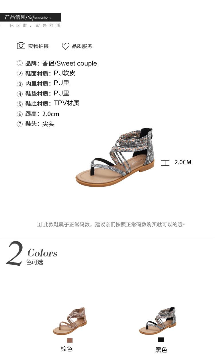 南哥-阿里2色_03.jpg