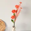 Cortes de Rosa de Espuma de Junco Artificial Decoração Estilo Ins para Celebridade da Internet para Fotografia de Estilo de Vida e Adereços de Pose