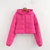Jaqueta Acolchoada de Algodão com Capuz, Estilo de Rua Popular, Simples e Versátil, Moda Feminina Europeia e Americana para Comércio Exterior Atacadista