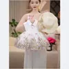 Vestido de Verão com Laço e Renda para Meninas 2026 Novo Estilo Moda Bebê Vestido de Princesa Vestido de Aniversário