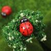 Escarabajo Mariquita de Siete Estrellas Transfronterizo Suculentas Creativas Musgo Micro Paisaje Adornos Decorativos DIY Resina Accesorios Joyería