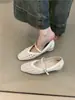 Zapatos Mary Jane Tejidos Estilo Francés Bohemio para Mujer, Adecuados para Usar Afuera, Verano 2025, para Combinar con Vestidos, Tacón Grueso, Elegantes Zapatos de Noche