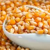 Granos de maíz para palomitas esféricos caseros, palomitas de maíz, maíz para reventar, totopos de maíz secos, maíz frito casero