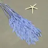Flor mágica hierba de la pequeña esperanza eterna ramo flor real Natural Alto sentido ins estilo nórdico sala de estar decoración jarrón Flor eterna