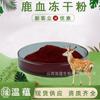 Polvo de Sangre de Ciervo, Extracto de Sangre de Ciervo, Materia Prima de Producto Saludable de Grado Alimenticio, Bebida Sólida, Polvo de Sangre de Ciervo Liofilizado, En Stock con Envío Gratis