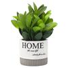 Atacado do Fabricante Decorações Criativas de Flores Artificiais Plantas Verdes Plantas em Vasos Decorações para Sala de Estar Restaurante Escritório Mesa Pequenos Enfeites
