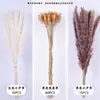 Bouquets de Flores Secas Fabricante Transfronterizo de Amazon Venta al por Mayor Pequeños Manojos Mixtos de Juncos Pequeños, Hierba Cola de Conejo y Bouquets de Flores Secas
