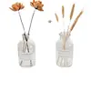 Simples Nórdico Quatro Estações garrafa sala de estar vaso de vidro pequeno fresco decorativo transparente rattan volátil garrafa de aromaterapia garrafa vazia
