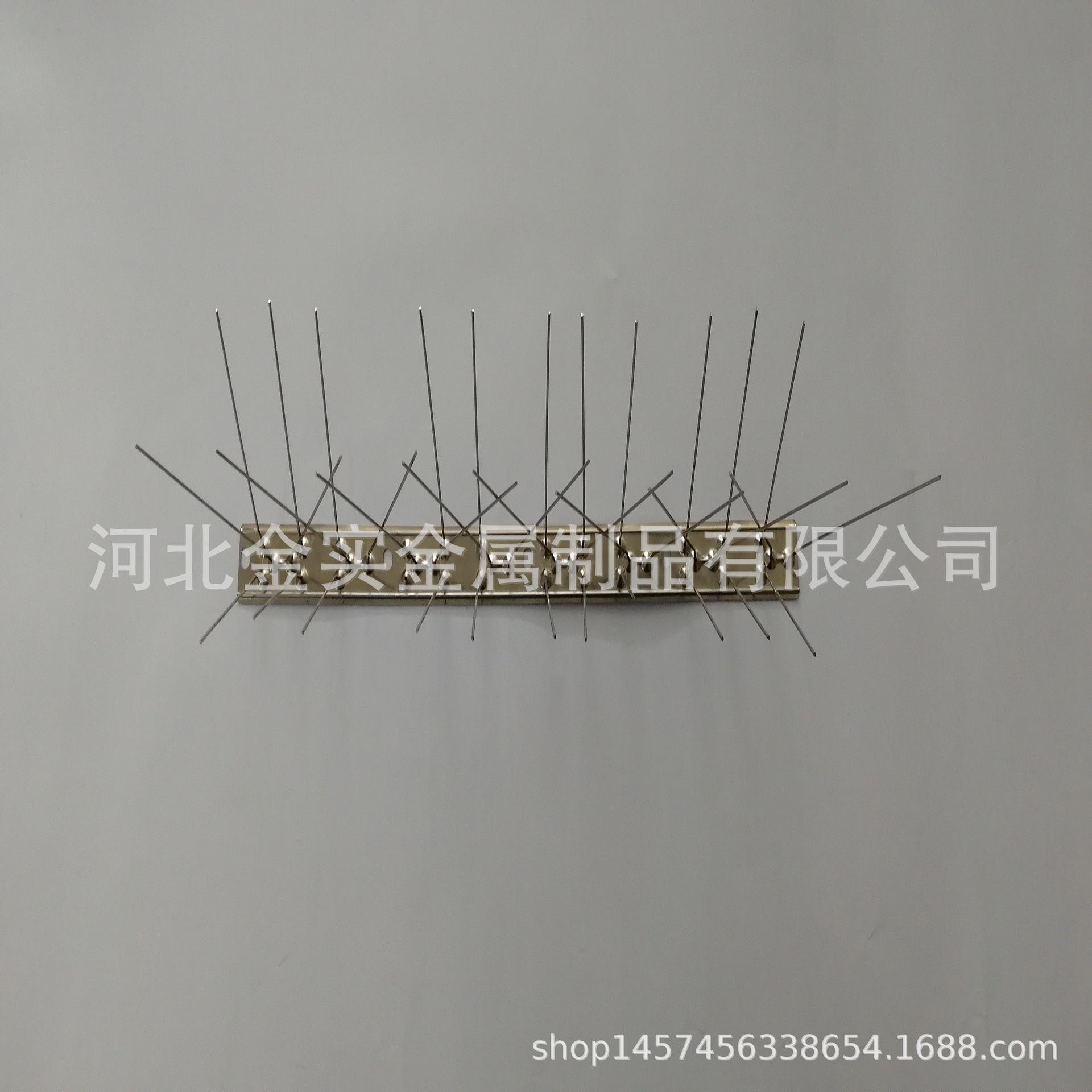 IMG_20191122_103830正