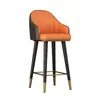 Taburete de Barra para Uso Doméstico, Silla Moderna Minimalista con Respaldo, Taburete de Barra de Moda para el Hogar de Lujo Ligero, Taburete Alto de Arte en Hierro